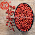 Ningxia Séché Rouge Goji Berry 280 Taille Ningxia Séché Gouqizi